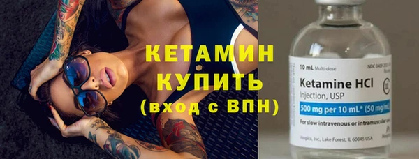 гидра Арсеньев
