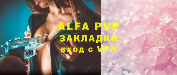 гидра Арсеньев