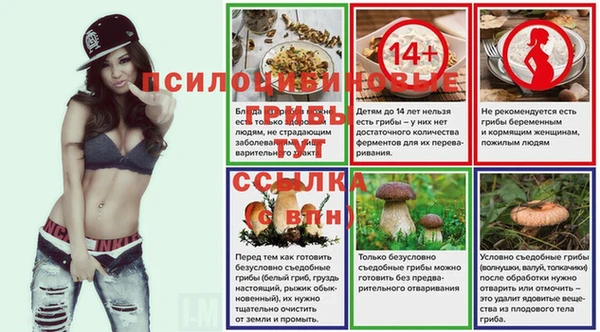 гашик Баксан