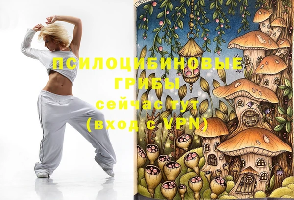 гидра Арсеньев