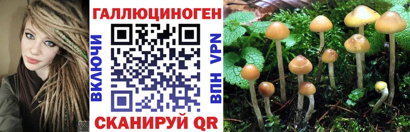 Псилоцибиновые грибы Cubensis  купить наркоту  Лермонтов 